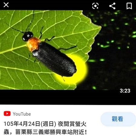 苗栗三义薄雾馆楼中楼民宿 外观 照片