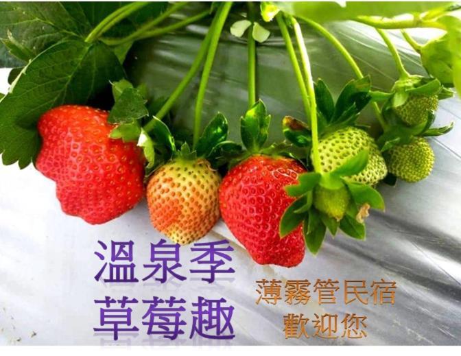 苗栗三义薄雾馆楼中楼民宿 外观 照片